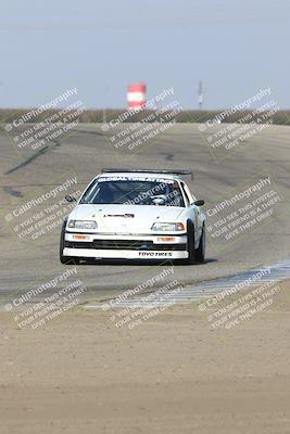 media/Nov-09-2024-GTA Finals Buttonwillow (Sat) [[c24c1461bf]]/Group 3/Session 3 (Outside Grapevine)/